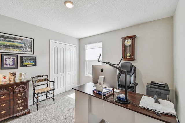 100 Dove Tree Ln, Saint Augustine, FL 32095 - photo 27