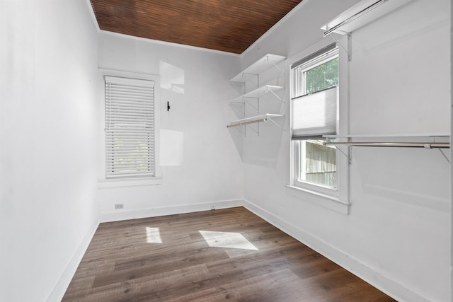 spacious closet featuring wood finished floors