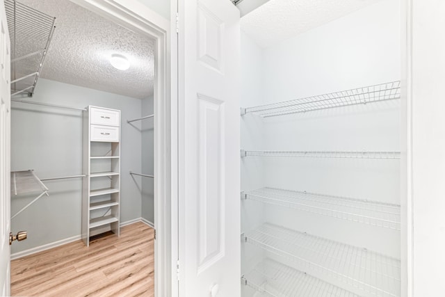 walk in closet featuring wood-type flooring