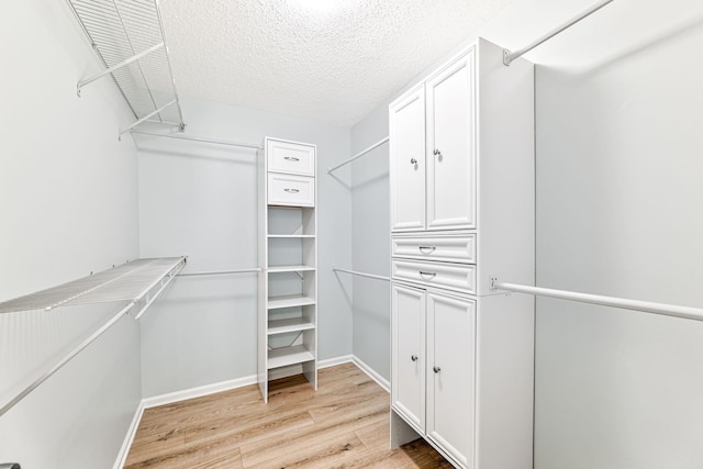 spacious closet featuring light hardwood / wood-style flooring