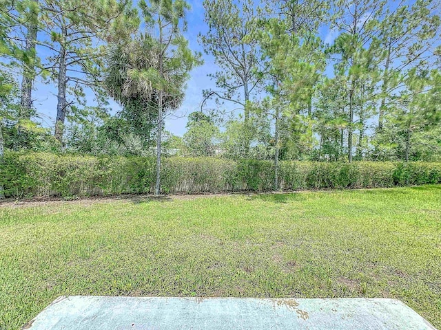 348 Ashby Landing Way, Saint Augustine, FL 32086 - view of green lawn