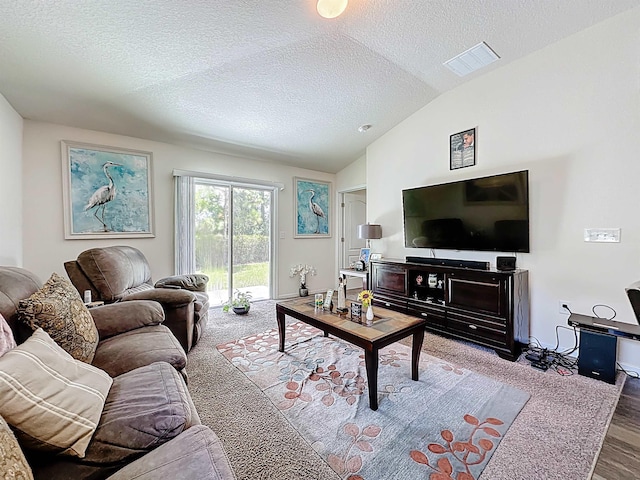 348 Ashby Landing Way, Saint Augustine, FL 32086 - living room featuring vaulted ceiling, a textured ceiling, and wood finished floors