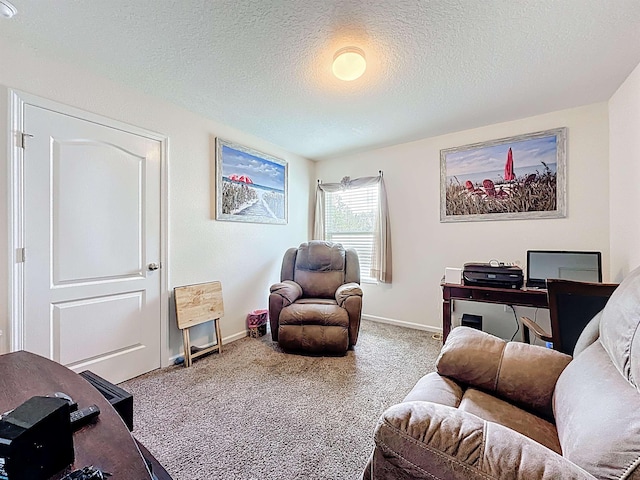 348 Ashby Landing Way, Saint Augustine, FL 32086 - office area featuring carpet and a textured ceiling