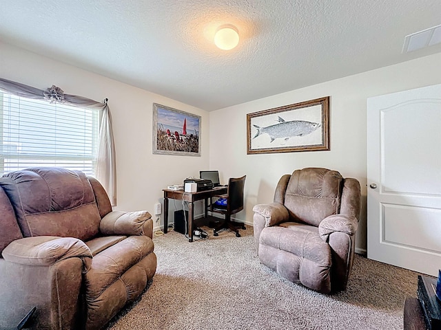 348 Ashby Landing Way, Saint Augustine, FL 32086 - carpeted office space with a textured ceiling
