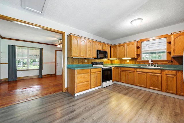 205 E Cochran Ave, Hastings, FL 32145 - photo 8