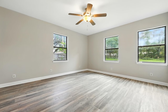 205 E Cochran Ave, Hastings, FL 32145 - photo 14