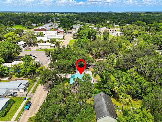 205 E Cochran Ave, Hastings, FL 32145 - photo 36