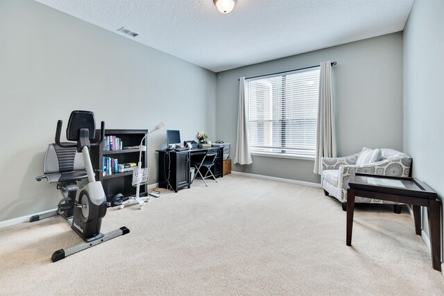 office featuring light carpet and a textured ceiling