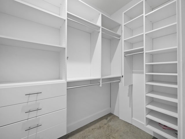 view of spacious closet