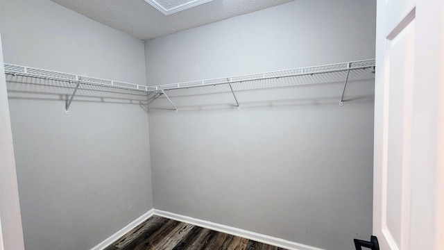 spacious closet featuring dark wood finished floors