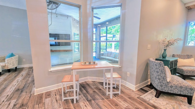 sitting room featuring wood finished floors, plenty of natural light, and baseboards
