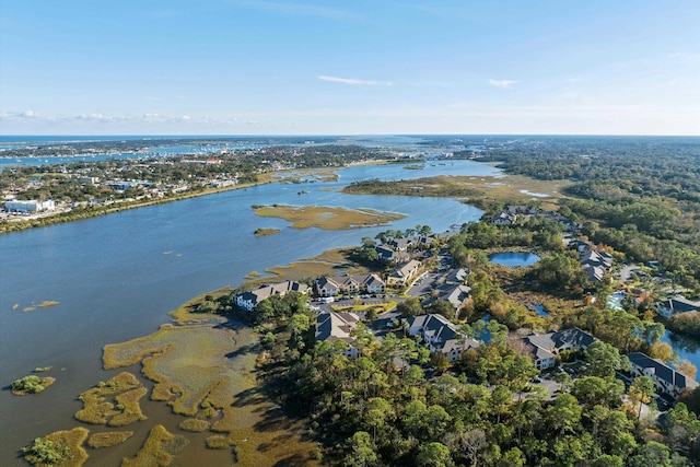 4515 Serena Cir, Saint Augustine, FL 32084 - aerial view with a residential view and a water view