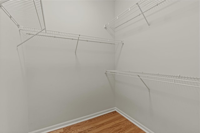 4515 Serena Cir, Saint Augustine, FL 32084 - walk in closet with light wood-style flooring