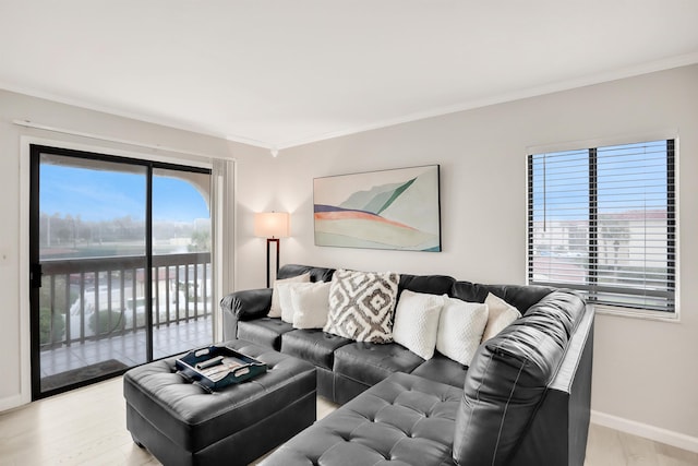 living room featuring ornamental molding and light hardwood / wood-style flooring