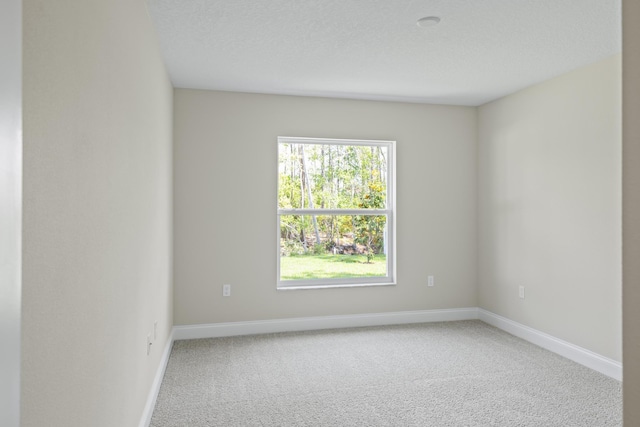 45 Laguna Forest Trl, Palm Coast, FL 32164 - unfurnished room with carpet, plenty of natural light, and baseboards