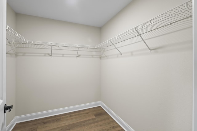 45 Laguna Forest Trl, Palm Coast, FL 32164 - walk in closet with dark wood-style floors