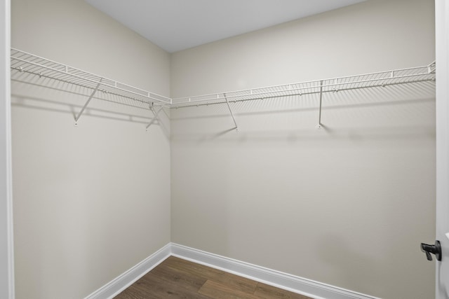 45 Laguna Forest Trl, Palm Coast, FL 32164 - spacious closet with dark wood-type flooring