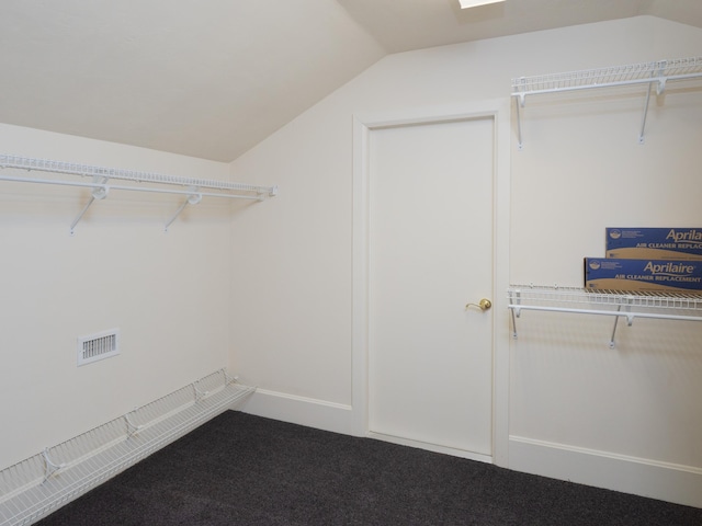 spacious closet with carpet and vaulted ceiling