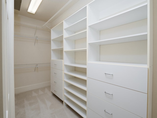 walk in closet with light colored carpet