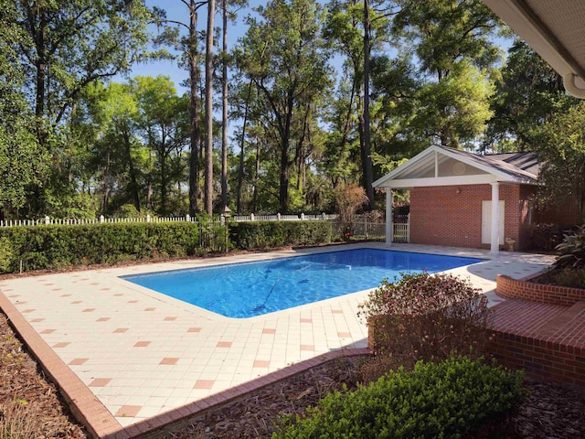 view of swimming pool featuring a patio area