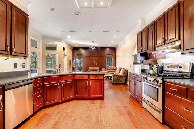 kitchen featuring ceiling fan, sink, light wood-type flooring, appliances with stainless steel finishes, and ornamental molding