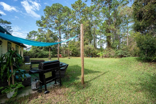 view of yard with central AC