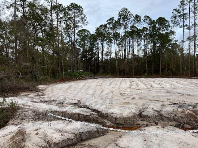 5020 Irving St, Hastings, FL 32145