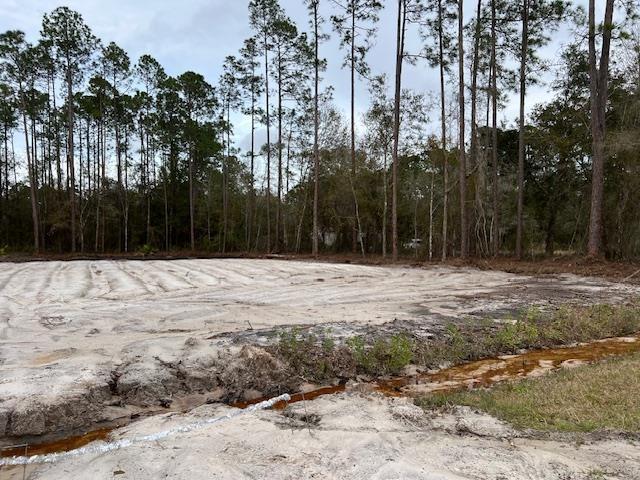 5020 Irving St, Hastings, FL 32145