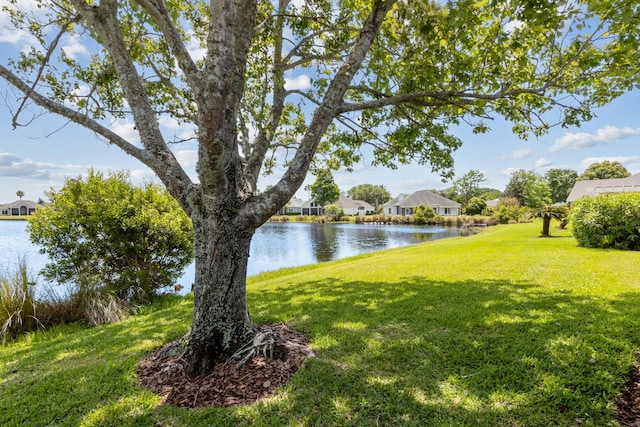 view of water feature featuring a residential view
