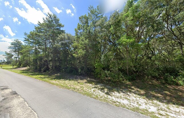 0 SW 177th Pl, Ocala, FL 34473 - photo 5
