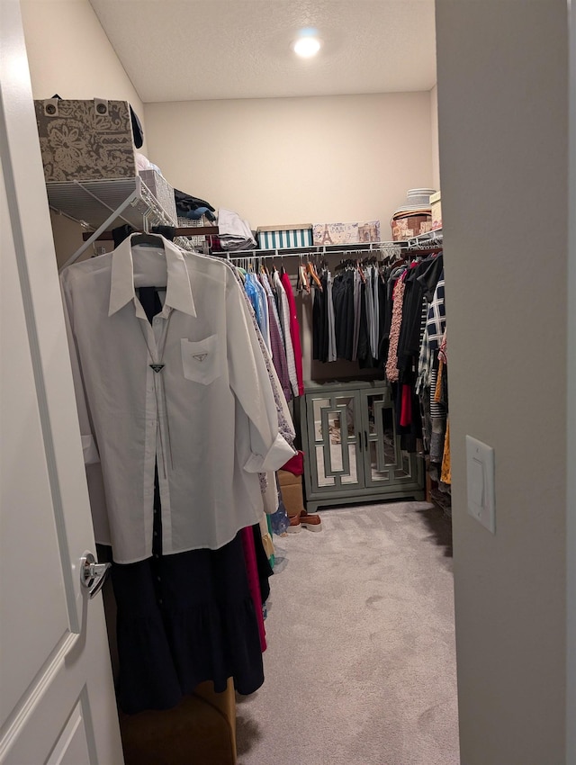 spacious closet featuring carpet flooring