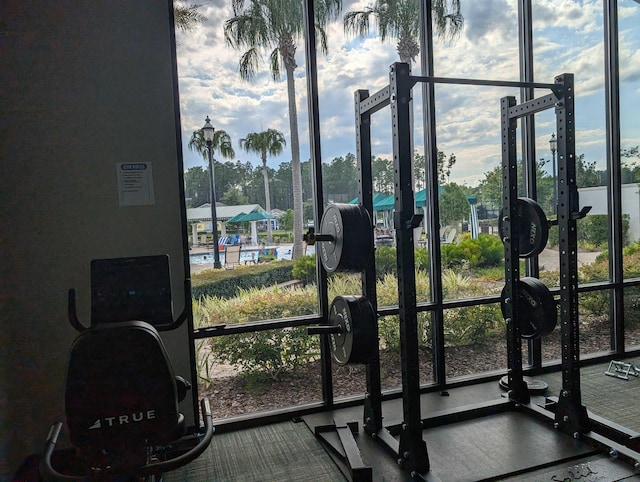 gym featuring a healthy amount of sunlight and a wall of windows