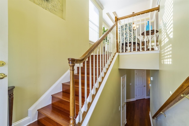 stairs featuring hardwood / wood-style floors