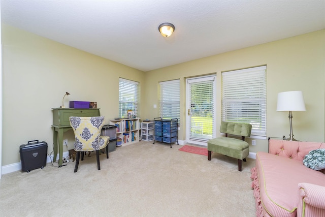 sitting room with light carpet