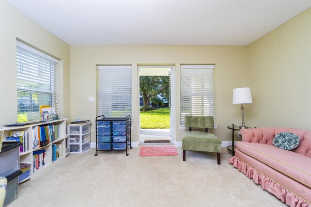 sitting room with light carpet