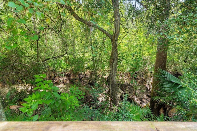 89 Moultrie Creek Cir, Saint Augustine, FL 32086 - photo 23
