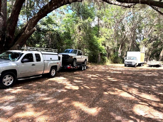 16325 SE 134th Ct, Weirsdale, FL 32195 - view of car parking