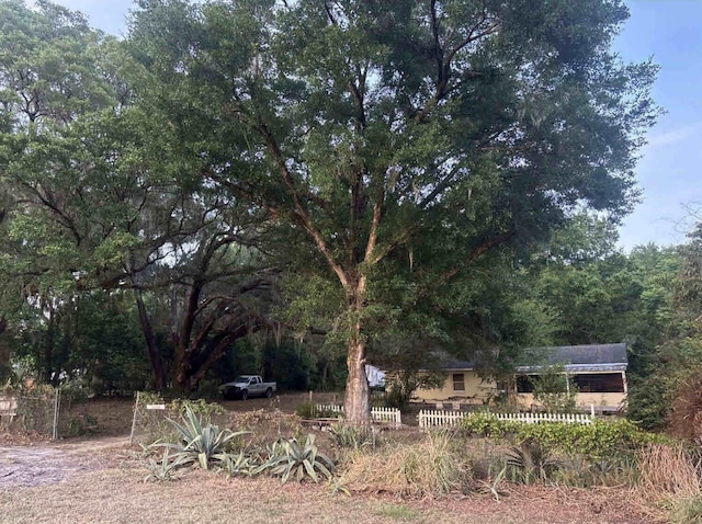 16325 SE 134th Ct, Weirsdale, FL 32195 - view of fenced yard