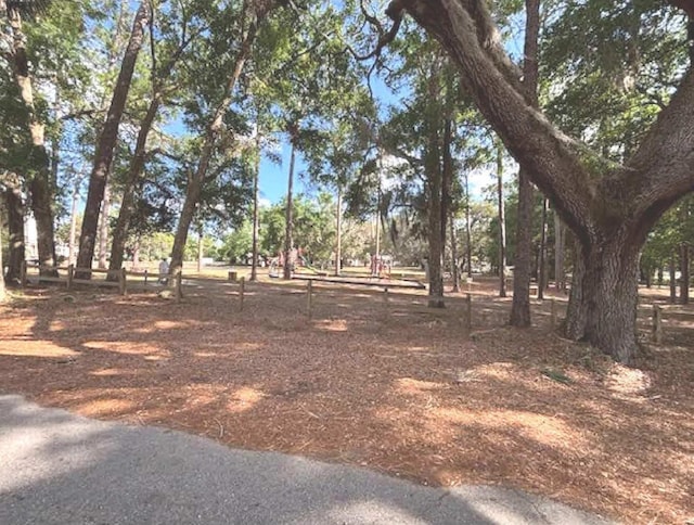 16325 SE 134th Ct, Weirsdale, FL 32195 - view of yard