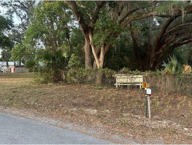 16325 SE 134th Ct, Weirsdale, FL 32195 - view of yard with fence