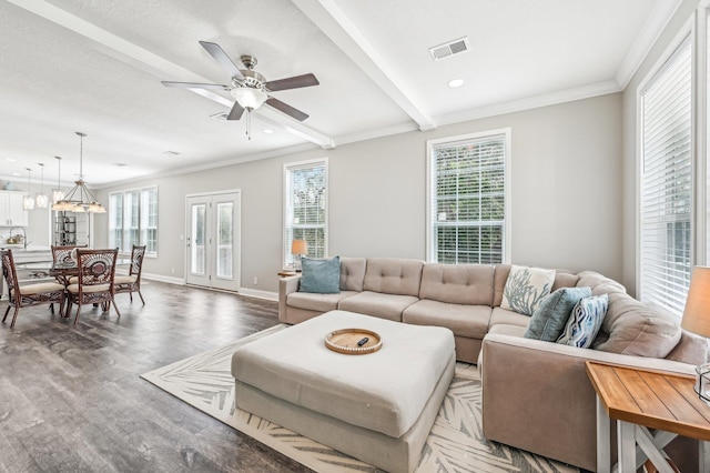 living room with beamed ceiling, ceiling fan with notable chandelier, hardwood / wood-style flooring, and crown molding