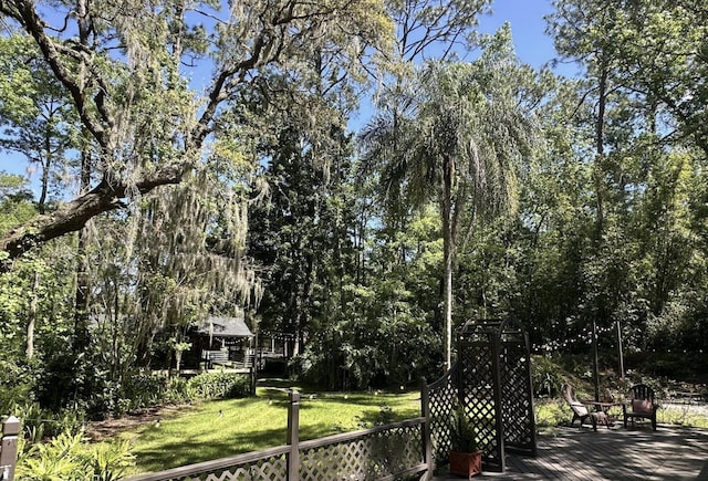 view of yard featuring a deck