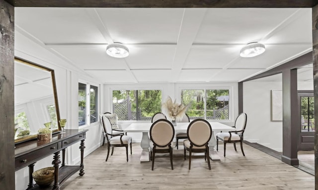 sunroom / solarium with coffered ceiling