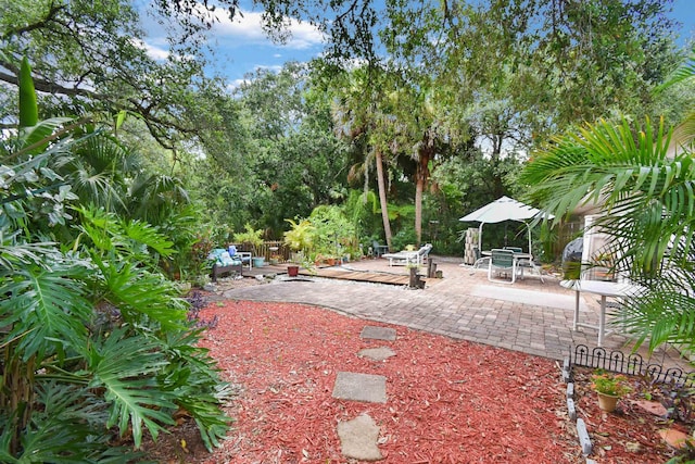 1711 Old Beach Rd, Saint Augustine, FL 32080 - view of yard featuring a patio area and view of wooded area