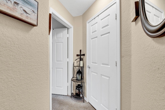 10075 Gate Pkwy Unit 907, Jacksonville, FL 32246 - hall featuring a textured wall and light colored carpet