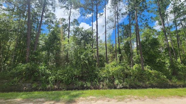 10665 Erickson Ave, Hastings FL, 32145 land for sale