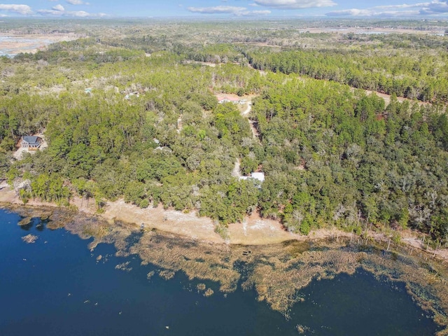 birds eye view of property with a forest view and a water view