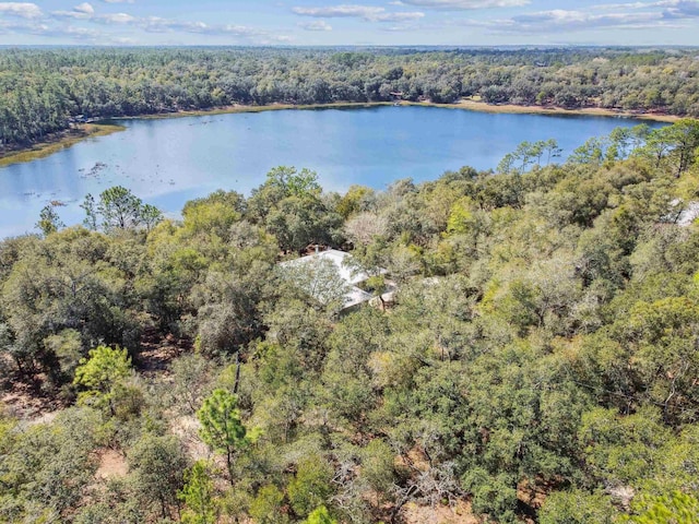 birds eye view of property featuring a water view and a forest view