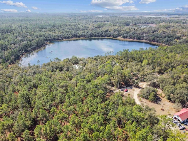 drone / aerial view featuring a water view and a wooded view