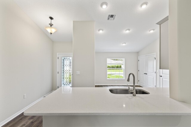 kitchen with kitchen peninsula, sink, and dark wood-type flooring